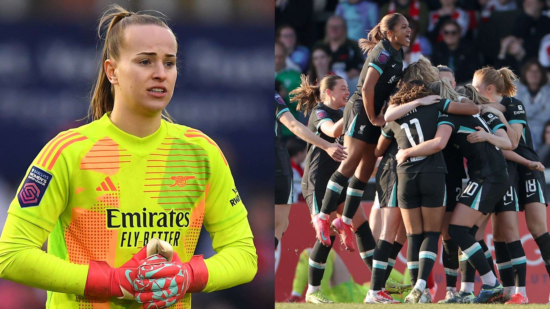 捍衛巴薩作 捍衛巴薩作