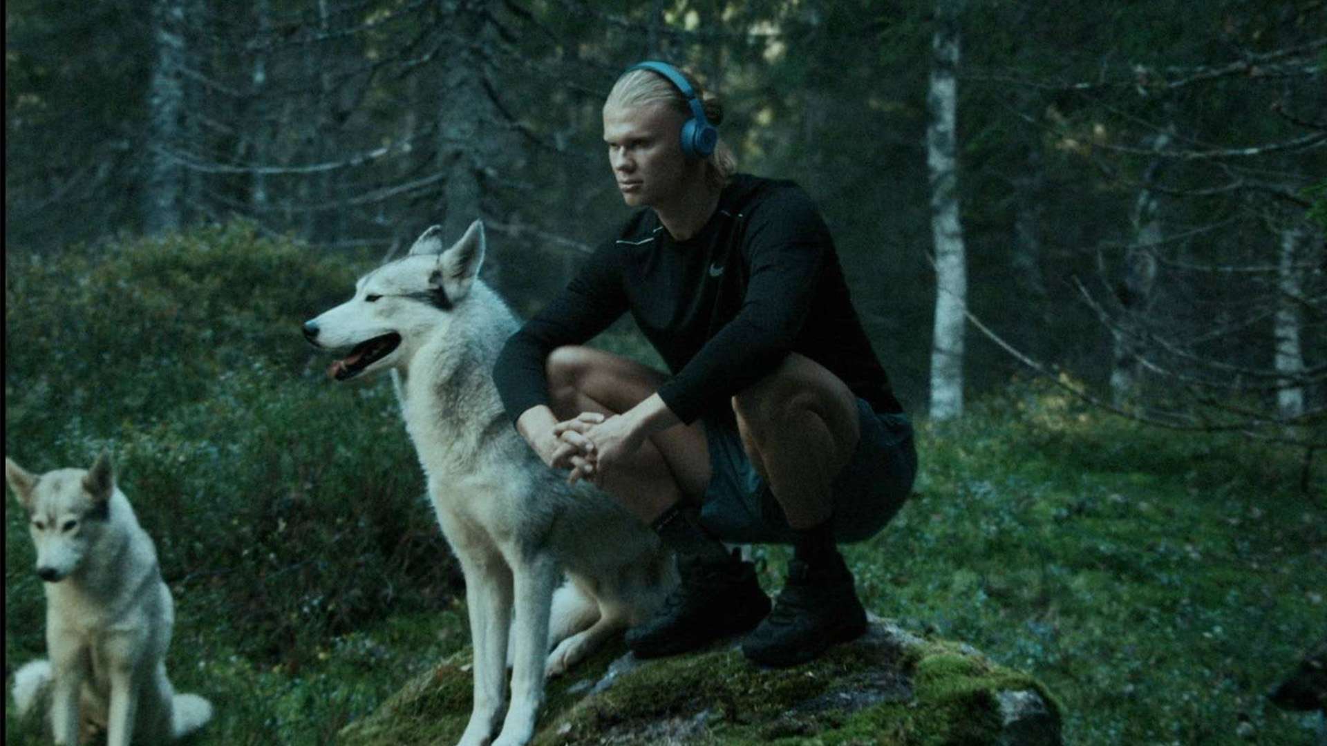 也让女子裁 也让女子裁